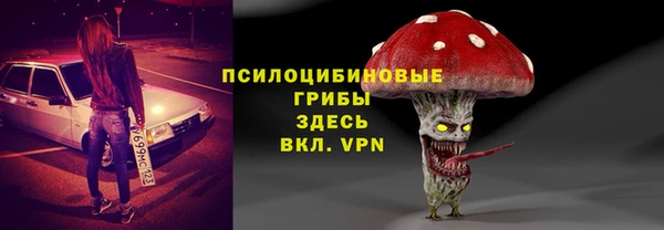 apvp Алзамай