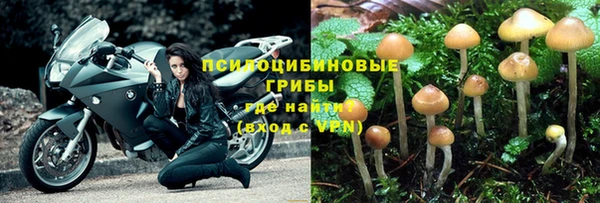 гашиш Абаза