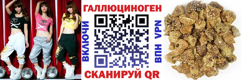 кракен зеркало Новосиль Галлюциногенные грибы GOLDEN TEACHER