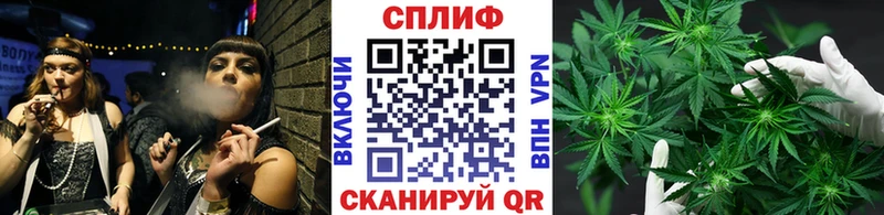 Шишки марихуана VHQ  Новосиль 